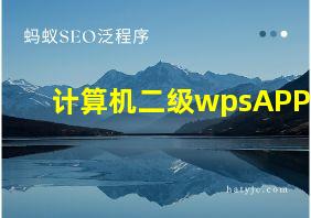 计算机二级wpsAPP