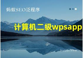 计算机二级wpsapp