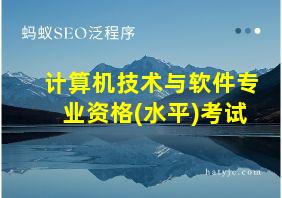 计算机技术与软件专业资格(水平)考试