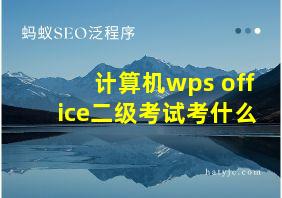 计算机wps office二级考试考什么