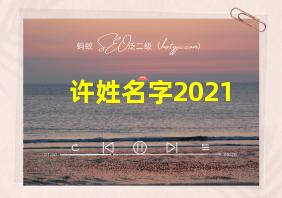 许姓名字2021