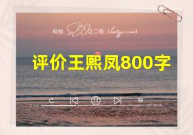 评价王熙凤800字