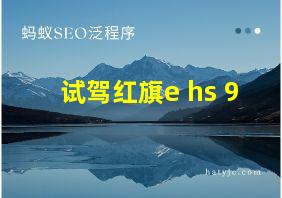 试驾红旗e hs 9