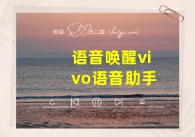 语音唤醒vivo语音助手