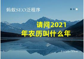 请问2021年农历叫什么年