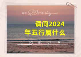 请问2024年五行属什么