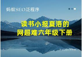 读书小报夏洛的网超难六年级下册