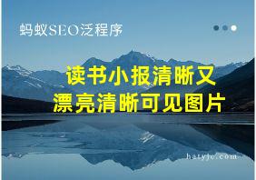 读书小报清晰又漂亮清晰可见图片