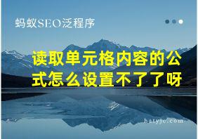 读取单元格内容的公式怎么设置不了了呀