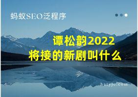 谭松韵2022将接的新剧叫什么