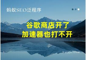 谷歌商店开了加速器也打不开