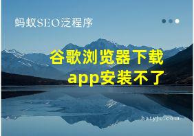 谷歌浏览器下载app安装不了