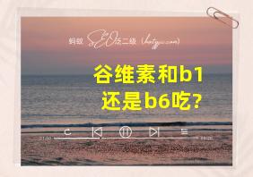 谷维素和b1还是b6吃?