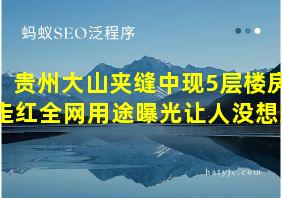 贵州大山夹缝中现5层楼房走红全网用途曝光让人没想到