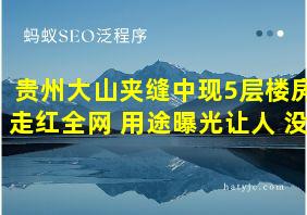 贵州大山夹缝中现5层楼房走红全网 用途曝光让人 没