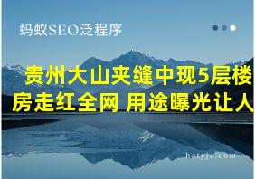 贵州大山夹缝中现5层楼房走红全网 用途曝光让人