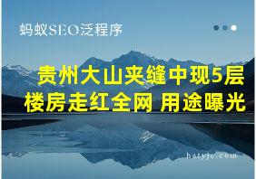 贵州大山夹缝中现5层楼房走红全网 用途曝光