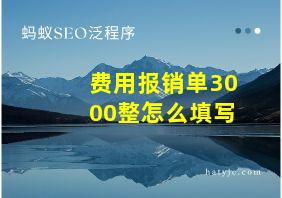 费用报销单3000整怎么填写