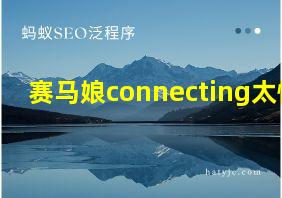 赛马娘connecting太慢