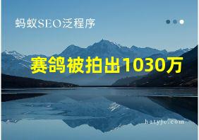 赛鸽被拍出1030万