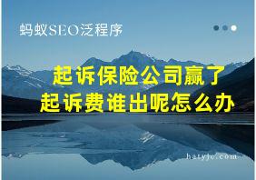 起诉保险公司赢了起诉费谁出呢怎么办