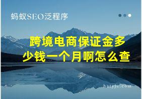 跨境电商保证金多少钱一个月啊怎么查