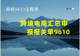 跨境电商汇总申报报关单9610