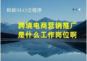 跨境电商营销推广是什么工作岗位啊