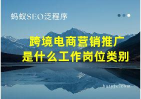 跨境电商营销推广是什么工作岗位类别