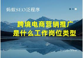 跨境电商营销推广是什么工作岗位类型