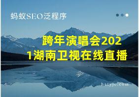 跨年演唱会2021湖南卫视在线直播