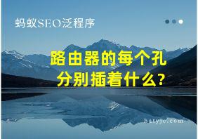 路由器的每个孔分别插着什么?