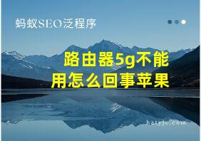 路由器5g不能用怎么回事苹果