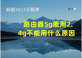 路由器5g能用2.4g不能用什么原因