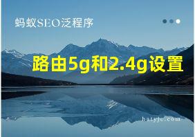 路由5g和2.4g设置