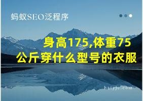 身高175,体重75公斤穿什么型号的衣服