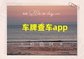 车牌查车app