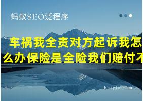 车祸我全责对方起诉我怎么办保险是全险我们赔付不