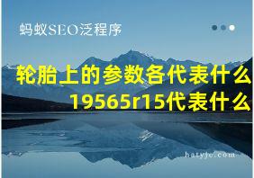 轮胎上的参数各代表什么19565r15代表什么