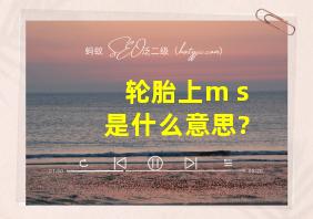 轮胎上m+s是什么意思?