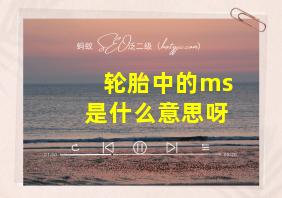 轮胎中的ms是什么意思呀