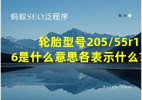 轮胎型号205/55r16是什么意思各表示什么?