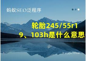 轮胎245/55r19、103h是什么意思