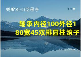 轴承内径100外径180宽45双排园柱滚子