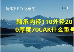 轴承内径110外径200厚度70CAK什么型号