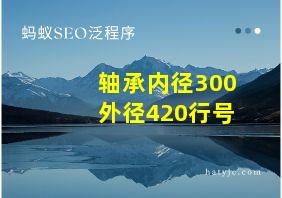 轴承内径300外径420行号