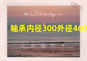 轴承内径300外径460