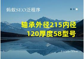 轴承外径215内径120厚度58型号