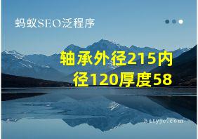 轴承外径215内径120厚度58