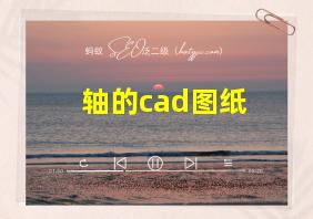 轴的cad图纸